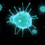 Vaccine & Virus Formulation with TRPS technology: the Izon Science's way.
