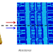 AFM Electrical characterization with ResiScope, Soft ResiScope & HD-KFM modes